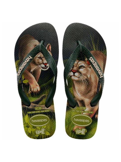 HAVAIANAS Haltere IPE olivegreen - Pantofi unisex