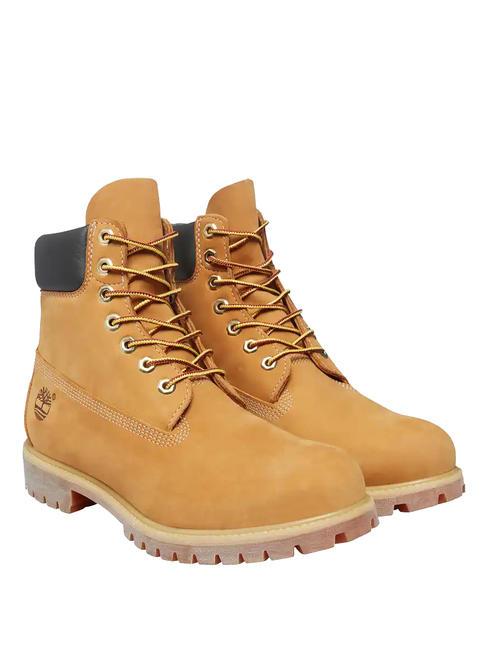 TIMBERLAND 6 INCH  Botine din piele galben - Pantofi unisex
