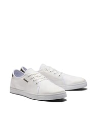 TIMBERLAND SHAPE PARK LOW  Adidași - Pantofi bărbați