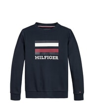 TOMMY HILFIGER TH KIDS Flag Hanorac - Hanorac pentru bebeluși