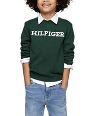 TOMMY HILFIGER TH KIDS Pulover cu guler rotund - Pulovere pentru copii