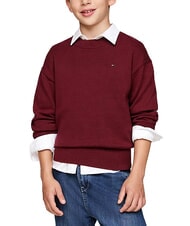 TOMMY HILFIGER TH KIDS Pulover cu guler rotund din bumbac - Pulovere pentru copii