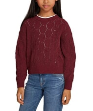 TOMMY HILFIGER TH KIDS Pulover cu guler rotund - Pulovere pentru copii