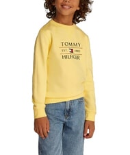 TOMMY HILFIGER TH KIDS Hanorac cu guler rotund și imprimeu lemongrass - Hanorac pentru bebeluși - 1