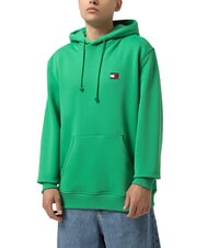 TOMMY HILFIGER TH JEANS Hanorac cu etichetă cu steag verde de coastă - hanorace - 1