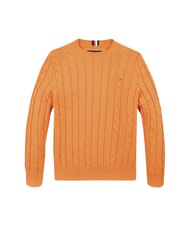 TOMMY HILFIGER TH KIDS Pulover din bumbac pentru bebeluși tunet portocaliu - Pulovere pentru copii - 1