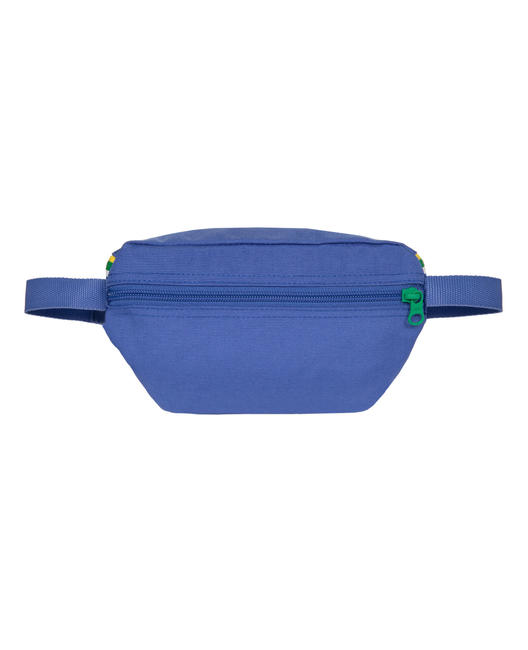 X SPRINGER SPECIAL EDITION Geantă de talie Havaianas Blue - Borsete de br&acirc;u