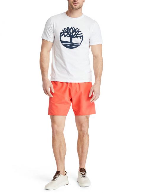 LOGO SWIM Costum de baie cayenne - Costume de baie