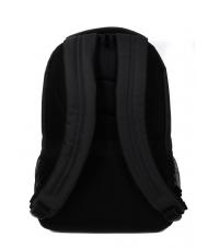 DELSEY ELEMENT AVIATOR Rucsac cu doua compartimente, suport pc 15.6”. negru - Rucsacuri pentru laptop - 4