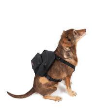 EASTPAK DOG PAK'R Mini rucsac pentru caini - Articole pentru animale