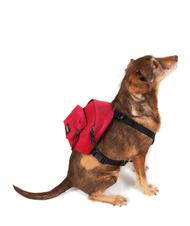 EASTPAK DOG PAK'R Mini rucsac pentru caini Sailor Red - Articole pentru animale - 2
