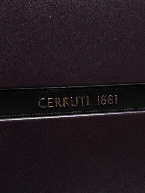 1881 Cărucior mare extensibil cap - Trolere rigide