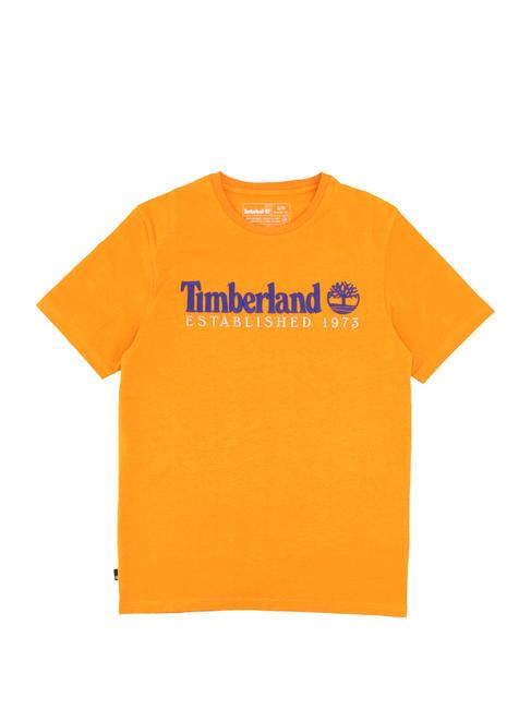 ESTABILISHED 1973 Tricou din bumbac cheddar negru wb - tricou