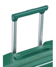 DELSEY SECURITECH DUNE Cărucior mediu extensibil iguană - Trolere rigide - 6