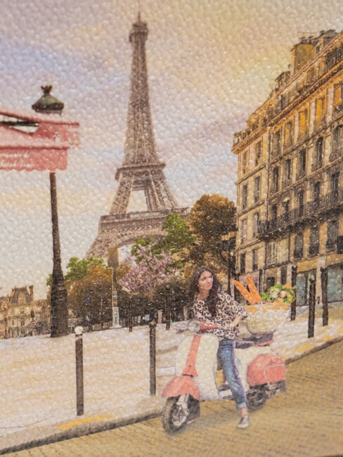 YESBAG SPECIAL Geanta pentru camera de umar voal paris - Genți femei