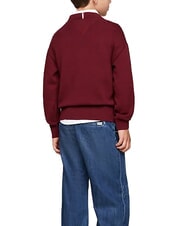 TOMMY HILFIGER TH KIDS Pulover cu guler rotund din bumbac - Pulovere pentru copii