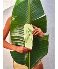HAVAIANAS BRASIL LOGO &Icirc;ncălțăminte bărbătească verde matcha - Pantofi unisex - 4