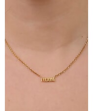 ALVIERO MARTINI PRIMA CLASSE MONTENAPO Colier din argint cu logo aur - Lănțișoare - 2