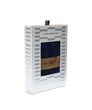TOMMY HILFIGER TH Set: Chiloți + Șosete contur steag/cer deșertic - Slip pentru bărbați - 4