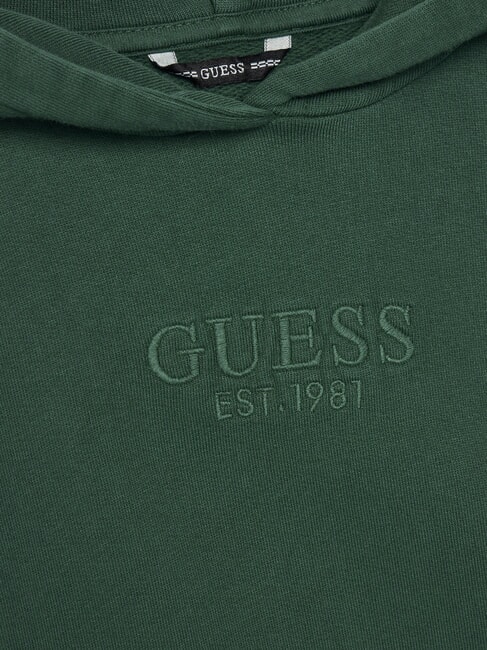 KIDS Hanorac pentru copii cu glugă și buzunar verde retro - Hanorac pentru bebeluși