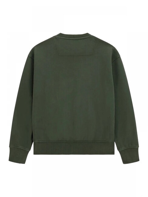 KIDS Hanorac pentru copii cu broderie cu logo verdeață de junglă - Hanorac pentru bebeluși