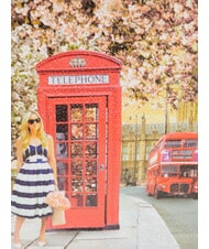 YNOT YESBAG SPECIAL Geantă de umăr metalică tip plic, ... clutch Trandafir englezesc - Genți femei - 3