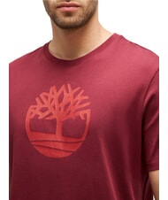 TIMBERLAND KBEC RIVER Tricou cu maneca scurta Burgundia - tricou - 3