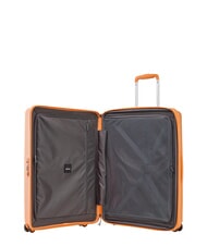 ECHOLAC FORZA Cărucior mediu extensibil zdrobire de caise - Trolere rigide - 2