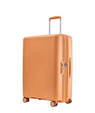 ECHOLAC FORZA Cărucior mediu extensibil zdrobire de caise - Trolere rigide - 3