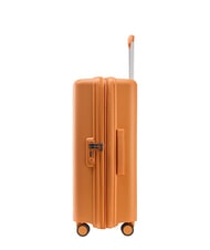 ECHOLAC FORZA Cărucior mediu extensibil zdrobire de caise - Trolere rigide - 5