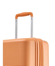 ECHOLAC FORZA Cărucior mediu extensibil zdrobire de caise - Trolere rigide - 6