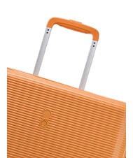 ECHOLAC FORZA Cărucior mediu extensibil zdrobire de caise - Trolere rigide - 7