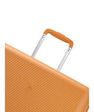 ECHOLAC FORZA Cărucior mare extensibil zdrobire de caise - Trolere rigide - 6