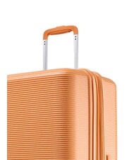 ECHOLAC FORZA Cărucior mare extensibil zdrobire de caise - Trolere rigide - 7