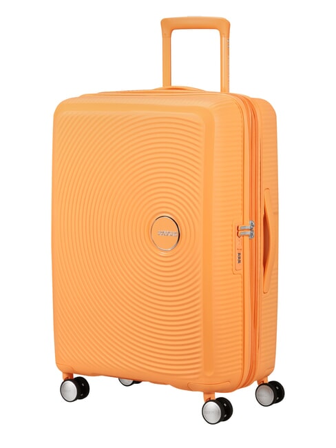 SOUNDBOX SPINNER Troller mediu, extensibil papaya pop - Trolere rigide