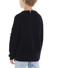 TOMMY HILFIGER TH Pulover din bumbac cu guler rotund cerul deșertului - Pulovere pentru copii - 4
