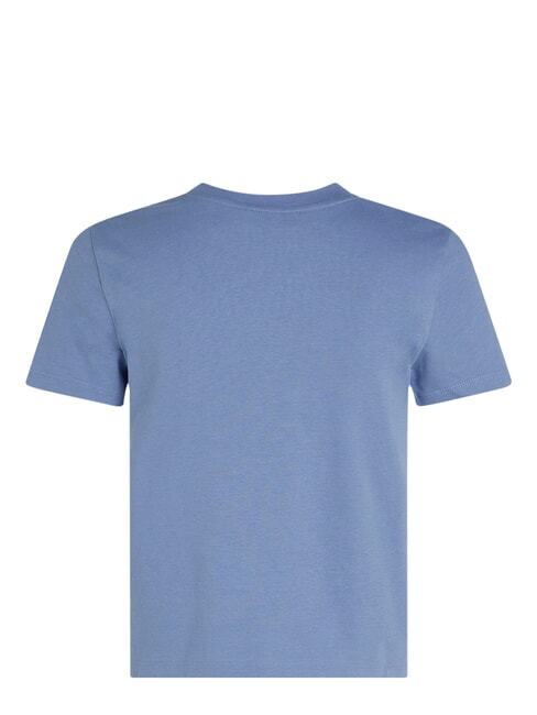 PLACED INSTITUTIONAL Tricou cu m&acirc;necă scurtă albastru - tricou