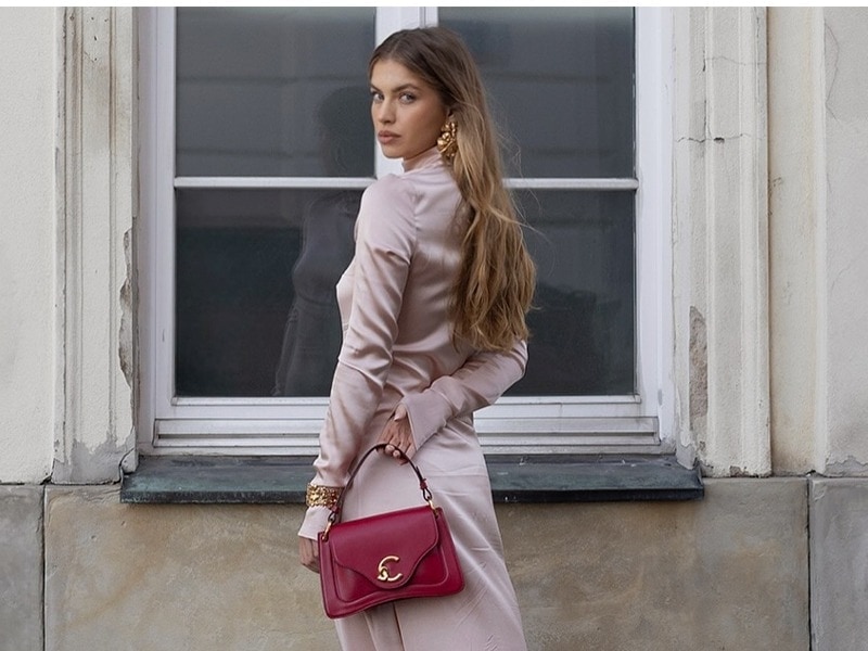 Buburuze-generic IARNA.24